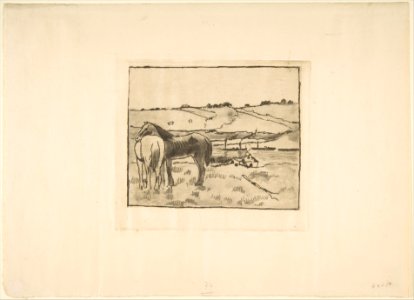 Horses in the Meadow MET DP815834