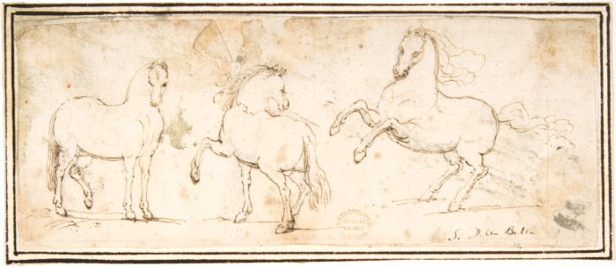 Horses MET DP807651