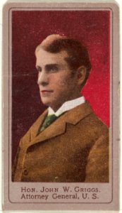 Honorable John W. Griggs, Attorney General, United States, from the Heroes of the Spanish War series (T175) MET DP842557