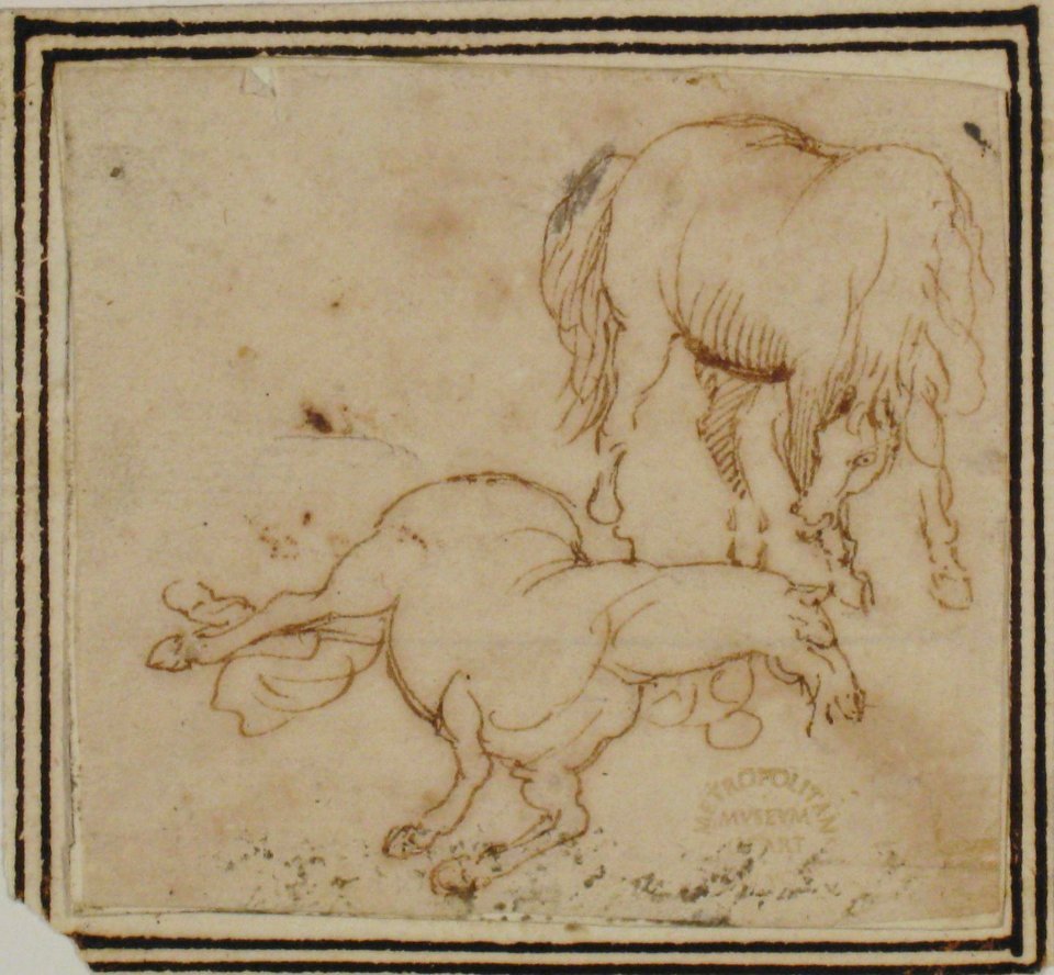 Horses MET 80.3.312
