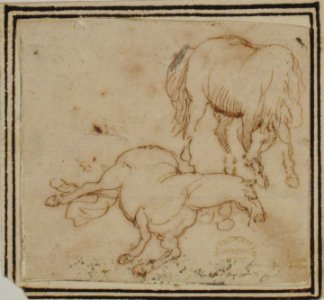 Horses MET 80.3.312