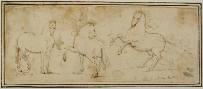 Horses MET 80.3.317