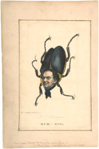 Hum-Bug (P. T. Barnum), from the Comic Natural History of the Human Race MET DP808187