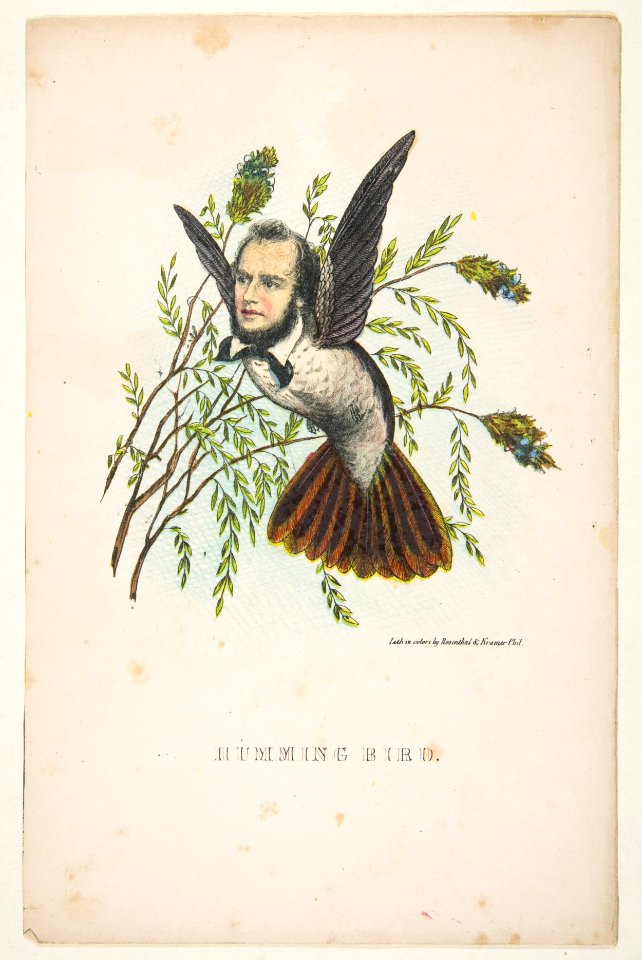 Humming Bird (Thomas B. Florence), from The Comic Natural History of the Human Race MET DP813083