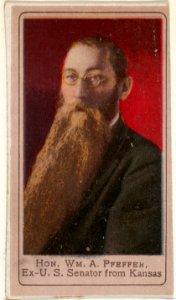 Honorable William A. Pfeffer, Ex-United States Senator from Kansas, from the Heroes of the Spanish War series (T175) MET DP842574