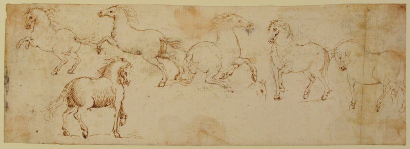 Horses MET 80.3.316