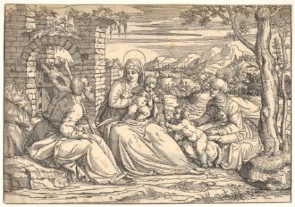 Holy Family with Elizabeth and St. John MET DP832108