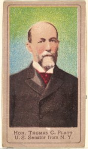 Honorable Thomas C. Platt, United States Senator from New York, from the Heroes of the Spanish War series (T175) MET DP842576