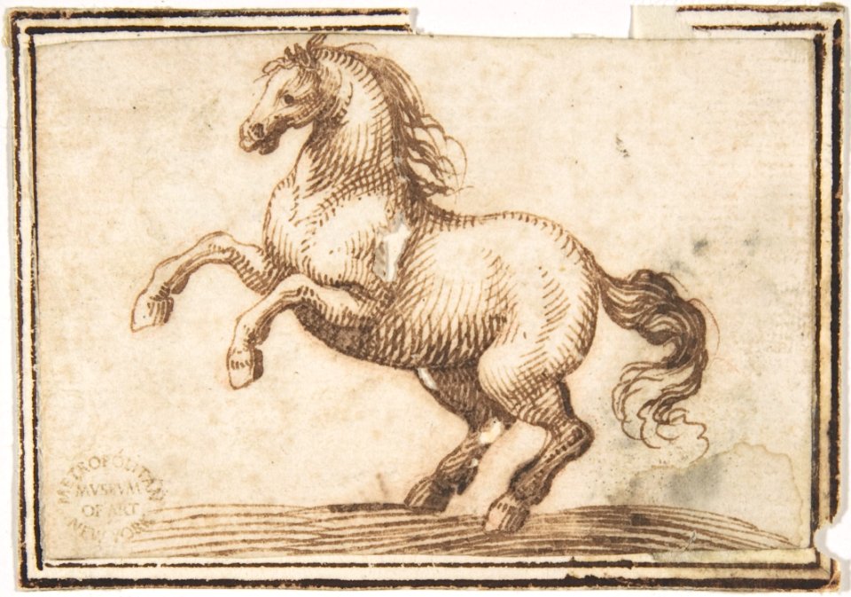 Horse MET DP807685
