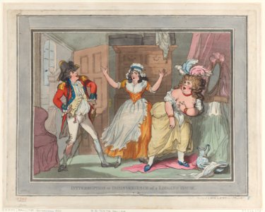 Interruption or Inconvenience of a Lodging House Met DP884367
