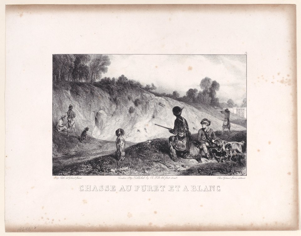 Hunting a Ferret with Blanks, from the series Hunting Scenes Met DP887935