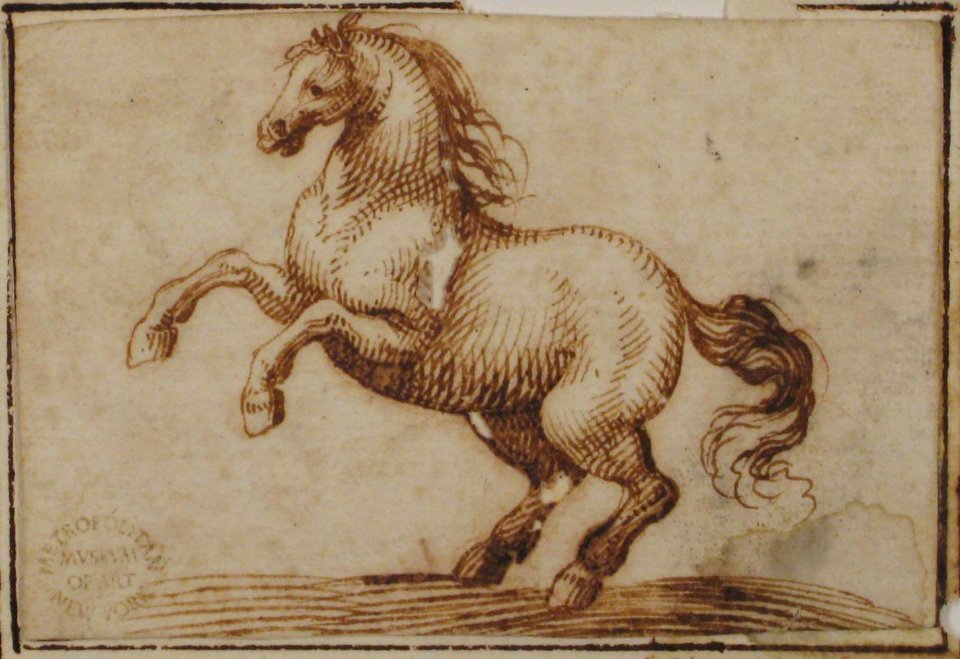 Horse MET 80.3.533