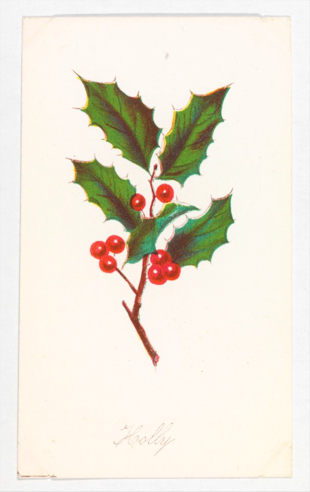 Holly from Autumn Leaves Part 2 MET DP273525