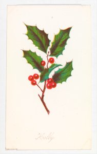 Holly from Autumn Leaves Part 2 MET DP273525