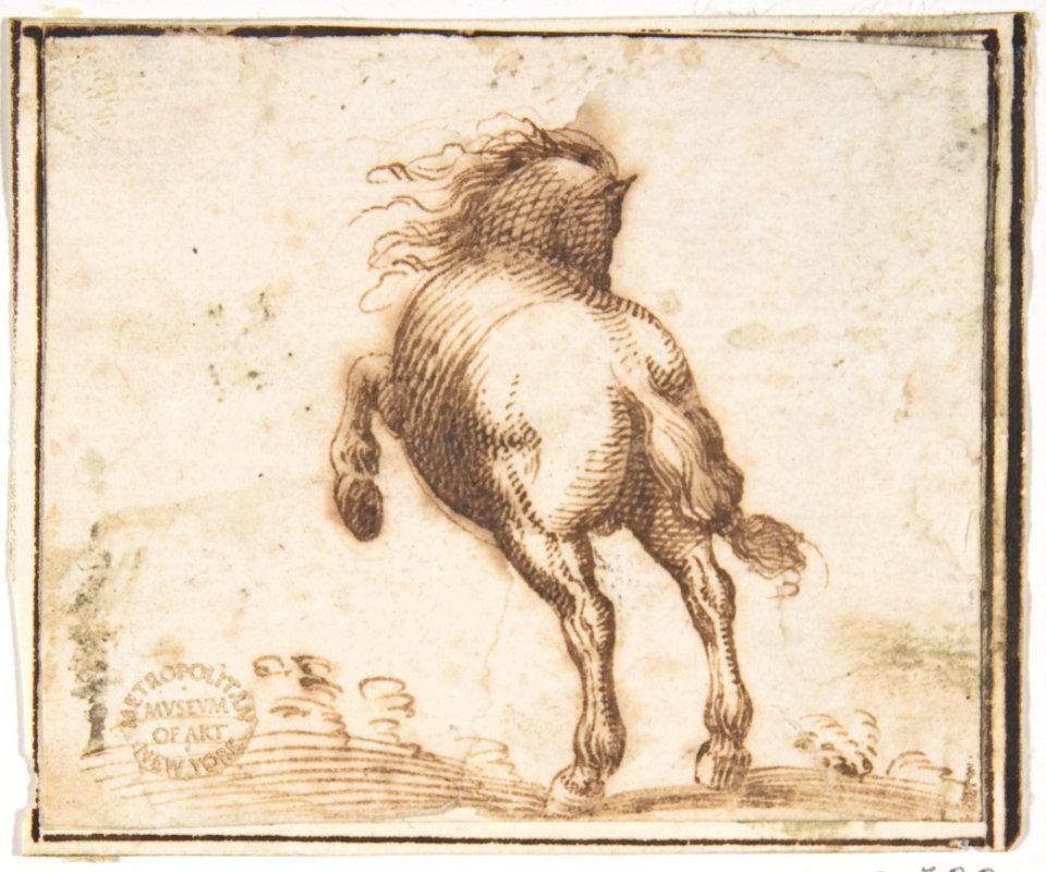 Horse MET DP807686