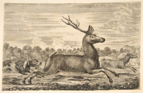 Hounds Chasing a Stag and a Doe MET DP817825
