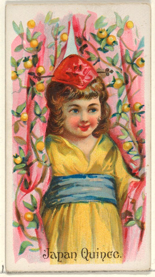 Japan Quince, from the Fruits series (N12) for Allen & Ginter Cigarettes Brands MET DP834624