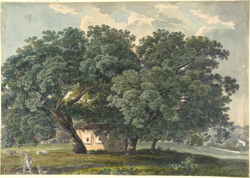 Italian Landscape with Trees (recto) MET DP803985