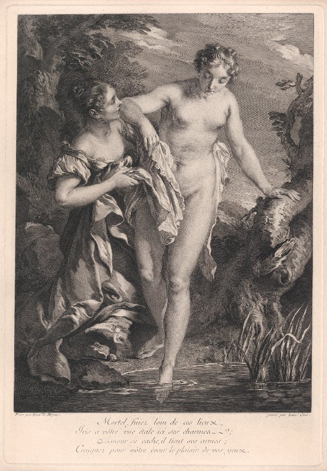 Iris at the Bath MET DP874663