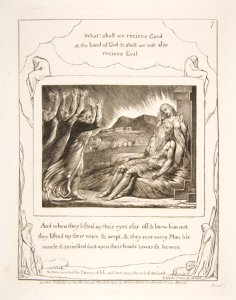 Job's Comforters, from Illustrations of the Book of Job MET DP816546