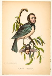 King Bird (Robert P. King and Alexander Baird), from The Comic Natural History of the Human Race MET DP813082