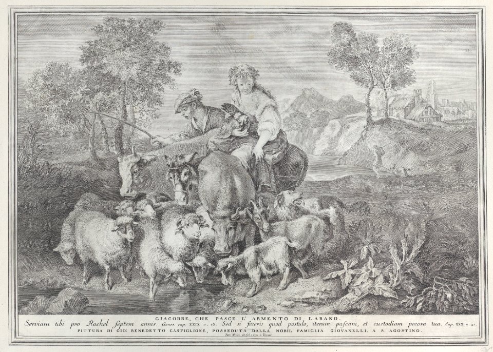 Jacob tending Laban's flock Met DP885788