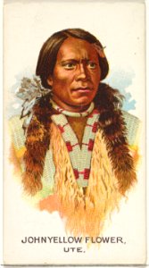 John Yellow Flower, Ute, from the American Indian Chiefs series (N2) for Allen & Ginter Cigarettes Brands MET DP828028