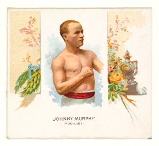 Johnny Murphy, Pugilist, from World's Champions, Second Series (N43) for Allen & Ginter Cigarettes MET DP839326