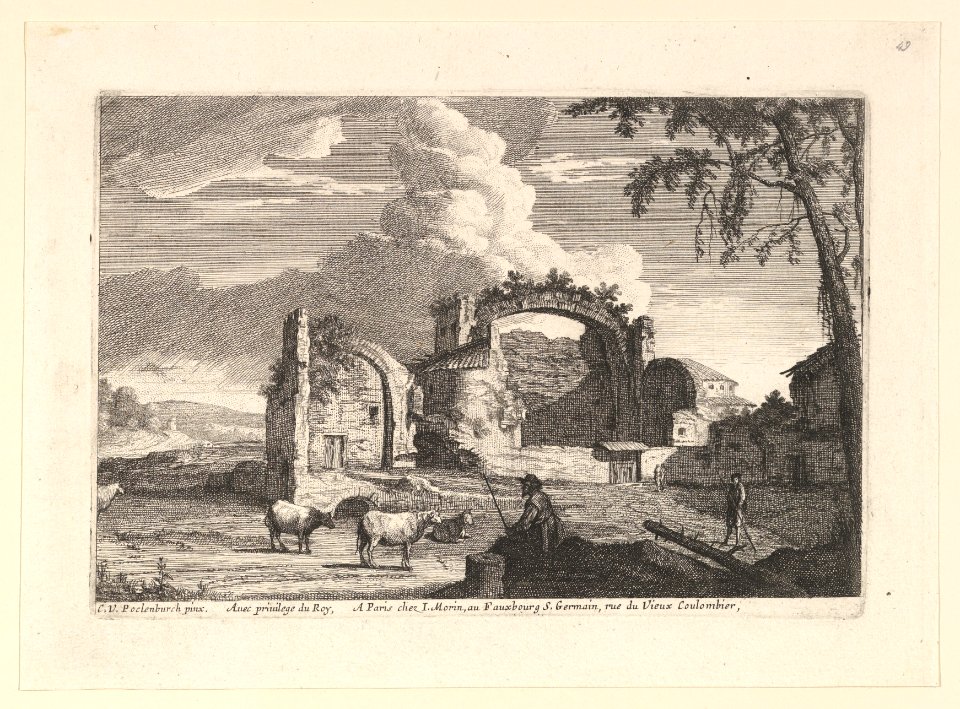 Le Bouvier Assis MET DP819858