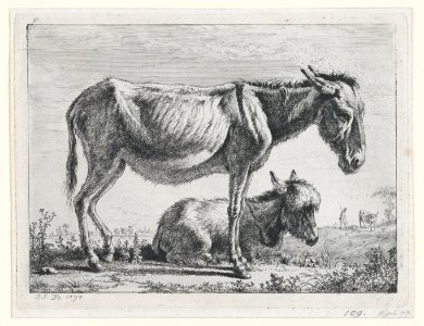 Jenny with its Foal MET DP874438