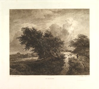 Le Buisson MET DP822531