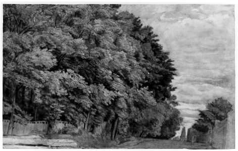 Large Forest. Verso- a tree-lined lane with figure MET 260213