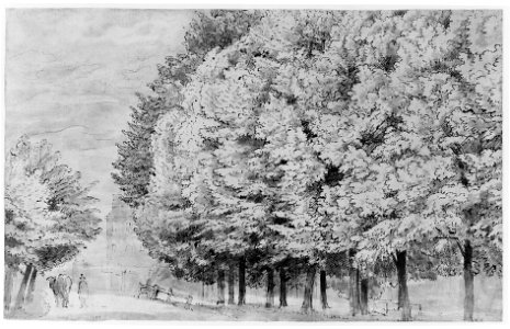 Large Forest. Verso- a tree-lined lane with figure MET 260214