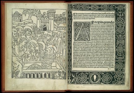 Le devote meditatione sopra la passione del nostro signore MET DP108941