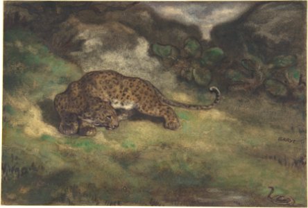 Leopard and Serpent MET DP805138