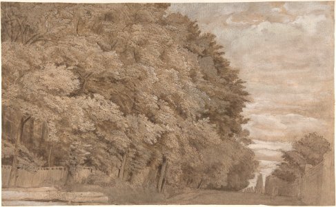 Large Forest. Verso- a tree-lined lane with figure MET DP800937