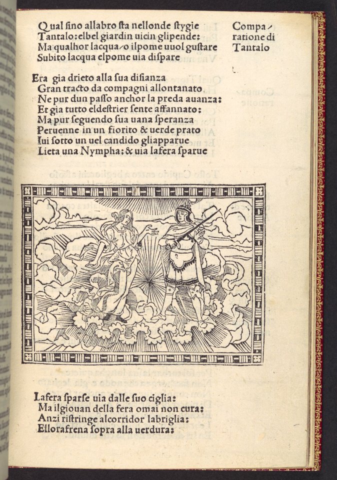 La Giostra di Giuliano de Medici... MET DP108950