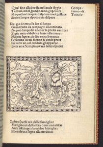 La Giostra di Giuliano de Medici... MET DP108950