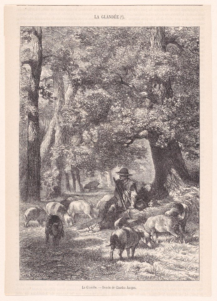 La Glandée; from Magasin Pittoresque Met DP888869