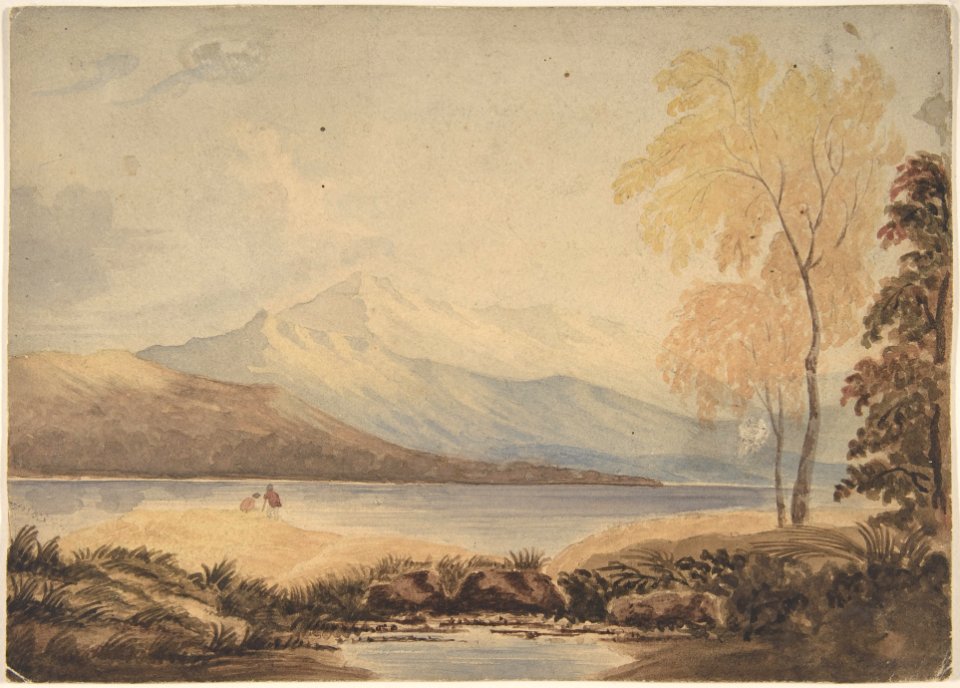 Lakeland Landscape MET DP804201