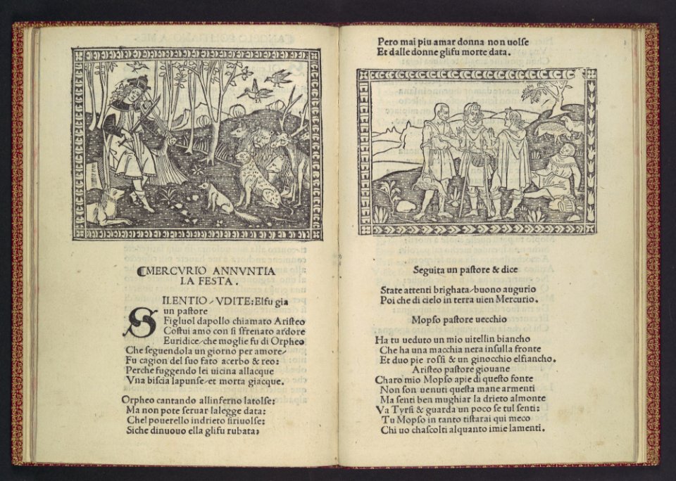 La Giostra di Giuliano de Medici... MET DP108952
