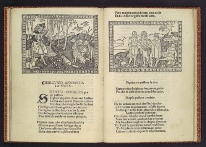 La Giostra di Giuliano de Medici... MET DP108952