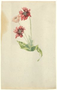 La Chine MET DP844262