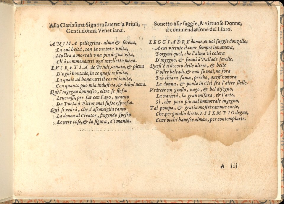 La vera perfettione del disegno di varie sorti di recami, page 2 (recto) MET DP358267