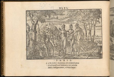 La Vera Perfettione del Disegno di varie sorti di recami, page 23 (verso) MET DP361992