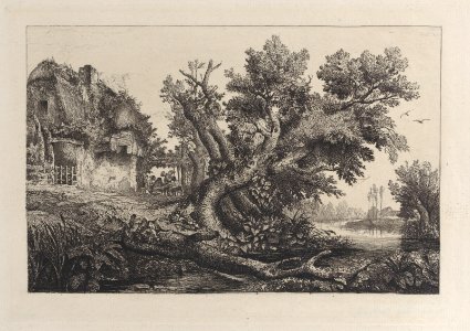 La Tonnelle Met DP884910