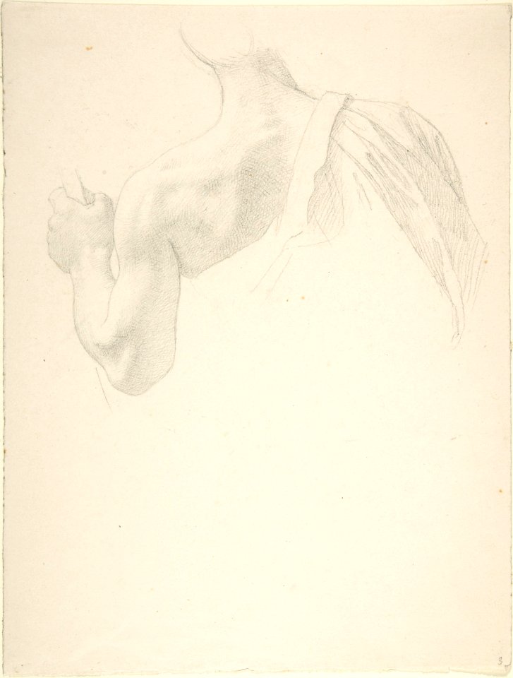 Left Arm and Shoulders of a Man Seen from the Back MET DP803869