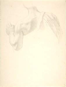 Left Arm and Shoulders of a Man Seen from the Back MET DP803869