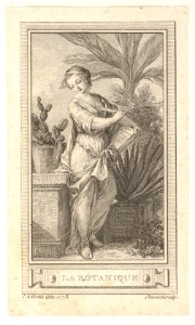 La Botanique MET DP834112