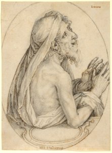 Lazarus MET DP848923